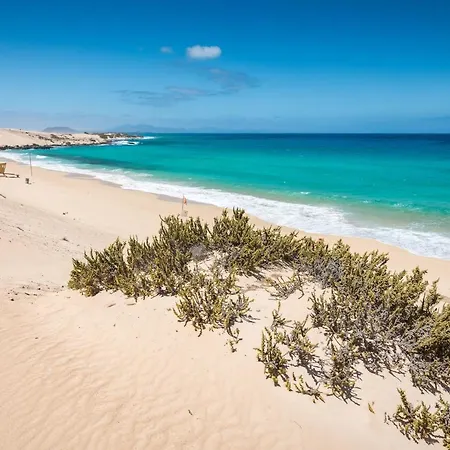 Home2book Oasis Paradise Fuerteventura コラレホ