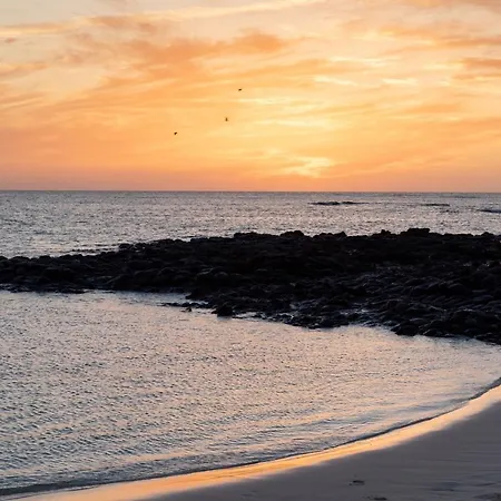 Home2book Oasis Paradise Fuerteventura コラレホ