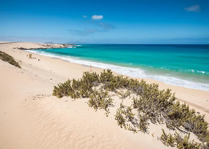 Home2book Oasis Paradise Fuerteventura קורלחו