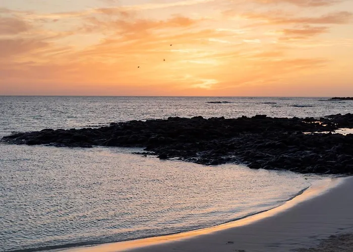 Home2book Oasis Paradise Fuerteventura קורלחו