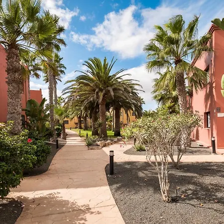 Home2book Oasis Paradise Fuerteventura Apartment